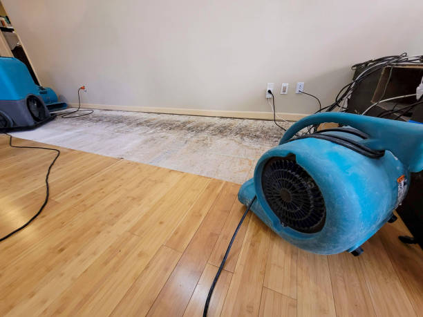 Professional Ceiling Water Damage Repair technician working in Askov, MN