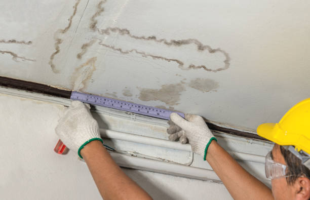 Affordable Ceiling Water Damage Repair solutions in Askov, MN
